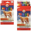 Seturi creioane color TRIOCOLOR JUMBO