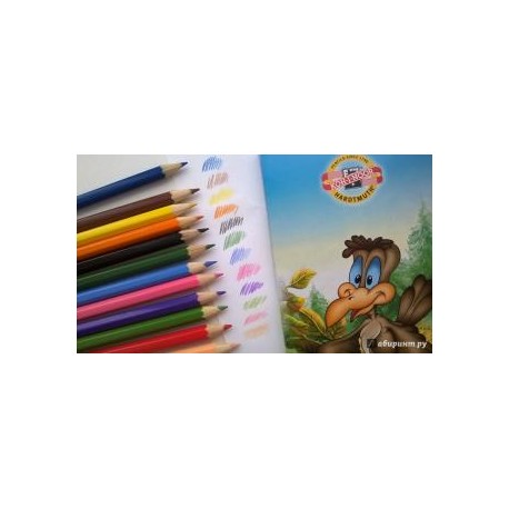 Set 6 creioane color LUMEA PASARILOR