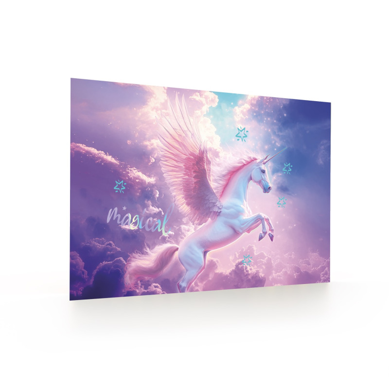 Mapa BIROU 58x38cm PEGASUS